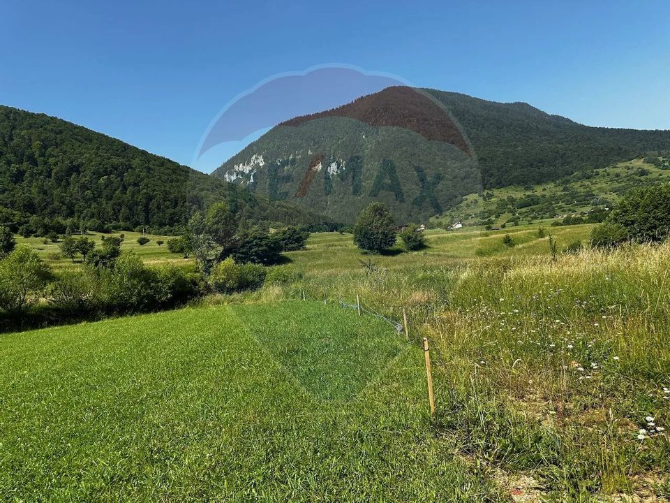 Land 2,432sqm Zarnesti / Strada fara nume