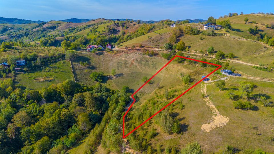 Teren extravilan 6,014mp | Holbav | BRASOV | COMISION 0|