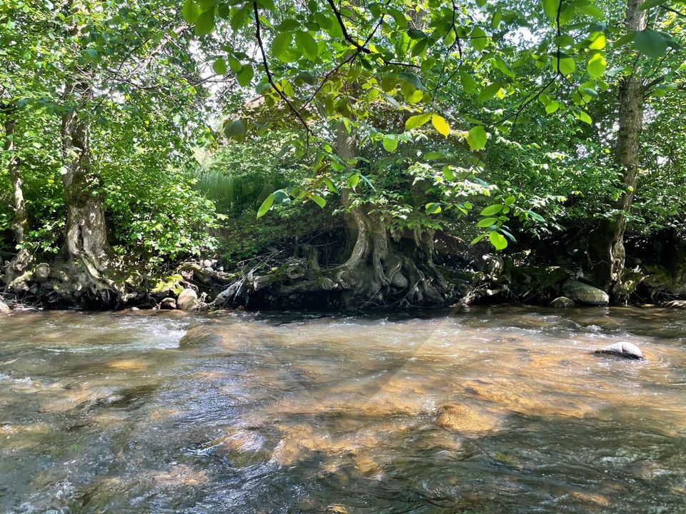 Land 2,932sqm Sarbi (Budesti) / Drumul Principal