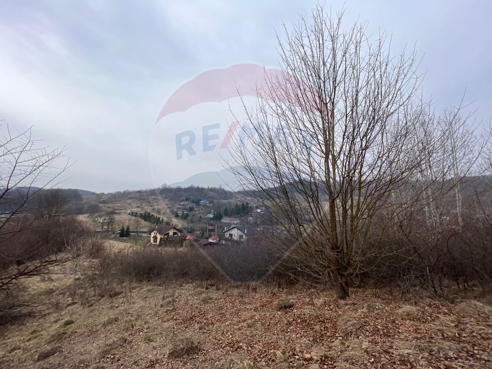 Land 500sqm Margineni / None