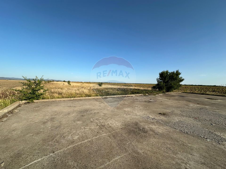 Teren extravilan de vânzare – 19.963 mp, E68 Mândruloc–Vladimirescu