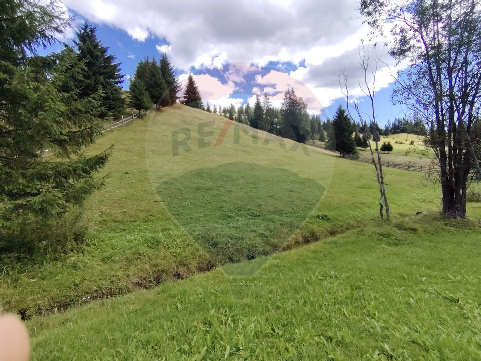 Teren de 14318m.p. în Paltinis, la 100m de strada Principala