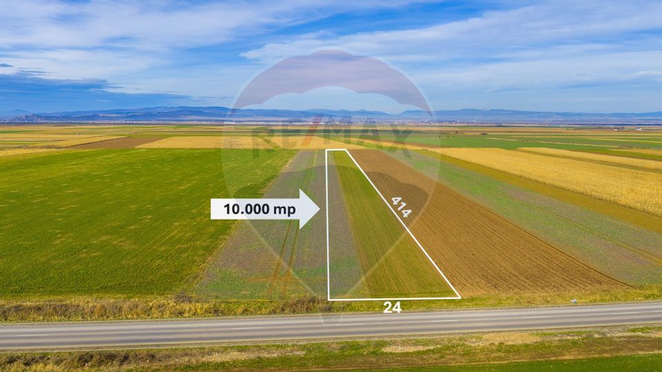 Teren 10,000mp Tarlungeni