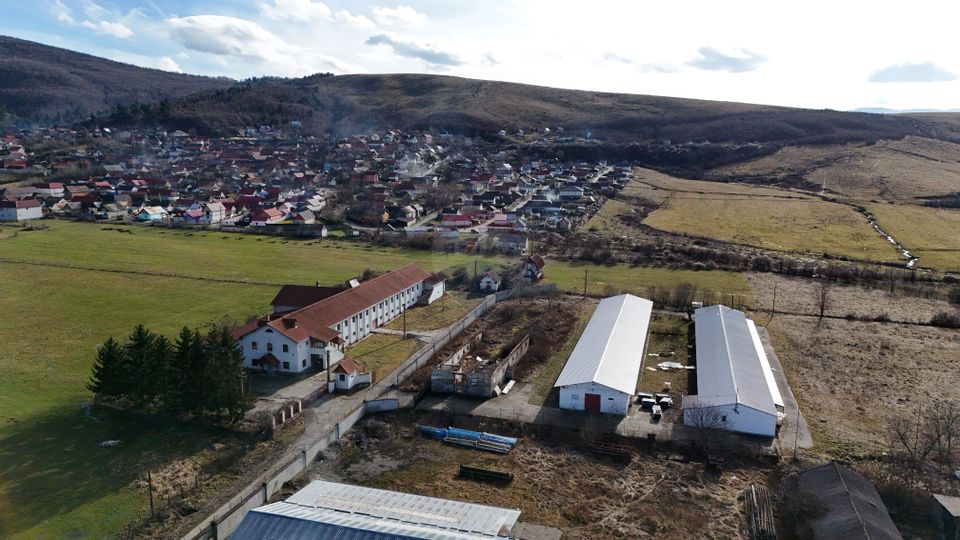 Teren intravilan 1.729 mp + hală parțial demolată | Teliu I Comision 0