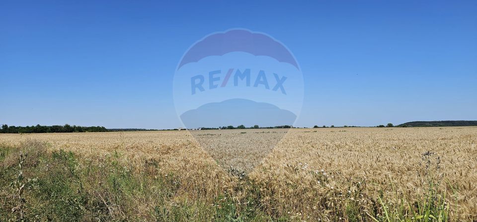 Teren Extravilan la granita cu Intravilanul - Măcheaua-Corbeanca