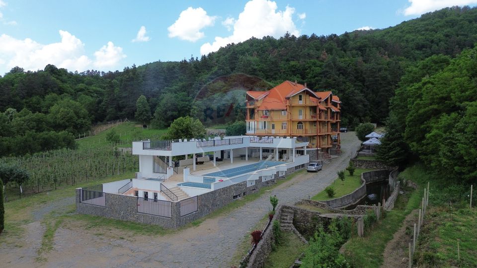 3,000sq.m Proprietate specială for sale