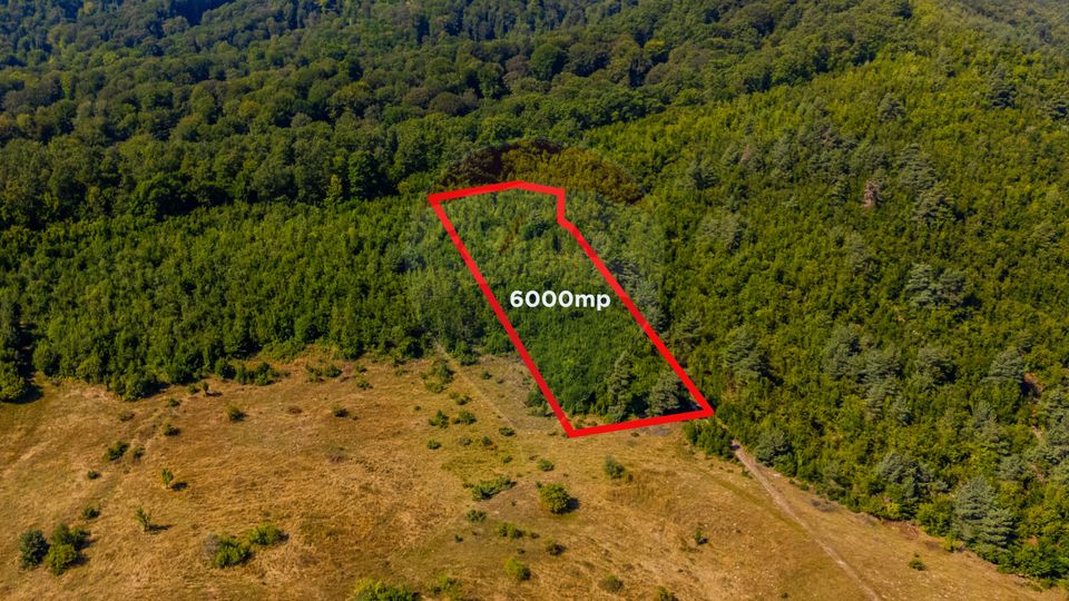 Land 6,000sqm Crizbav / Strada principala