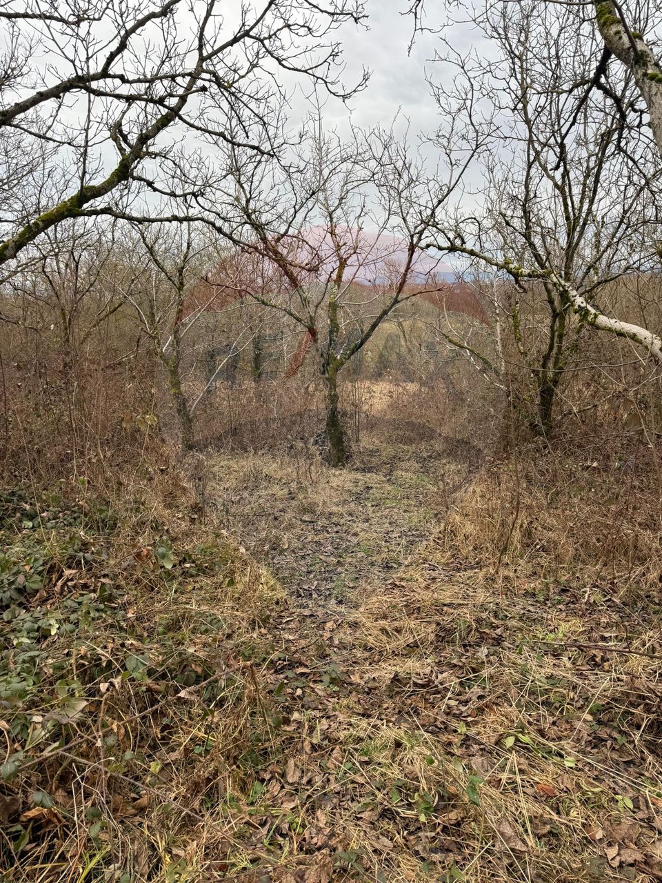 DE VANZARE Teren Strada Victoriei Baia Mare