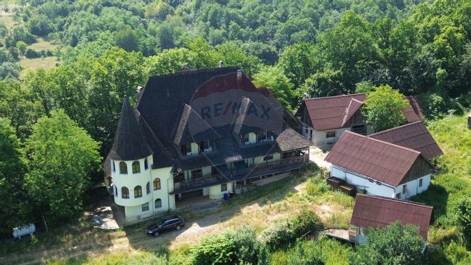 DE VANZARE CASTEL IN MARAMURES