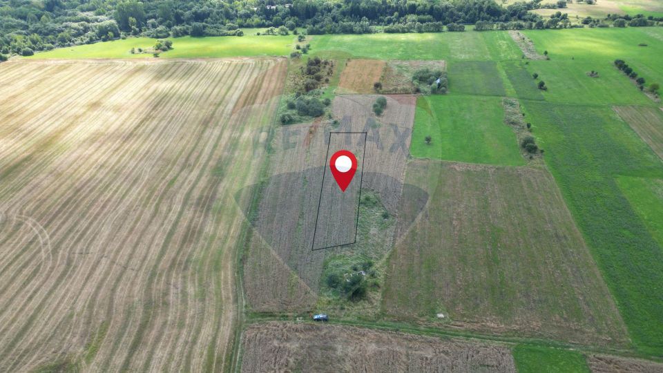 Land 1,180sqm Zarnesti / Strada Fagului