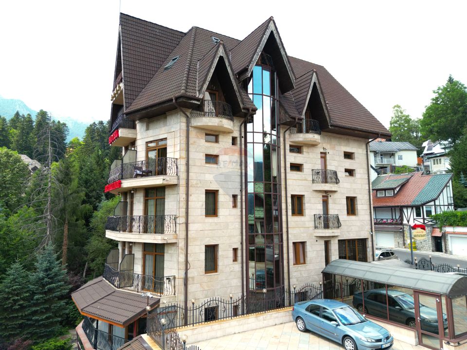 36 room Hotel / Pension for sale, Furnica area