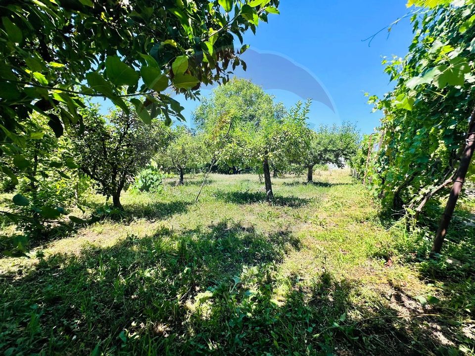 Casa cu Toate Utilitatile,Vedere Panoramica,Livada-Stefanesti, Arges