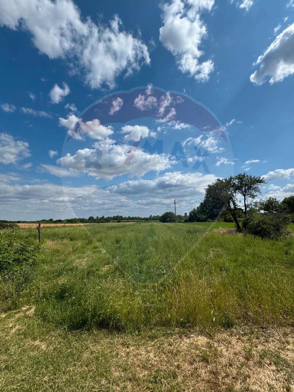 Land 4,000sqm Fierbinti-Targ / Strada Lalelei