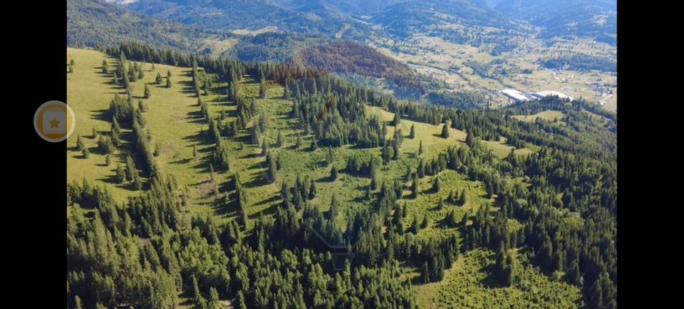 Teren 24,581mp Panaci / Strada Mihăileț