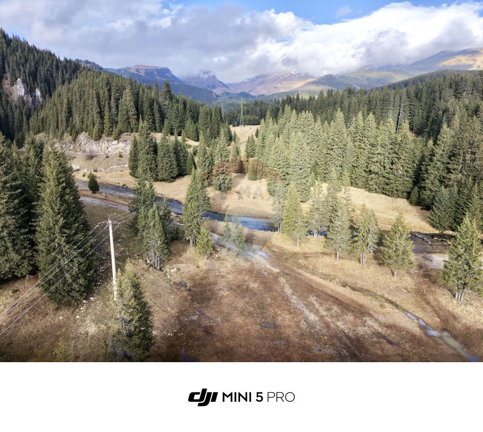 Teren de vanzare - 5000 mp - Peștera Padina