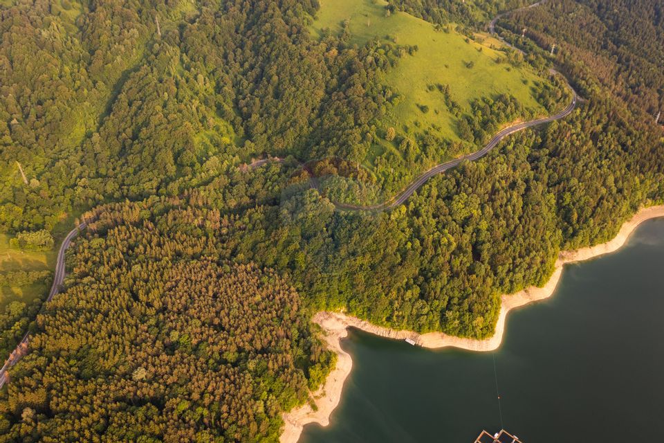 Padure cu deschidere in lacul Bicaz