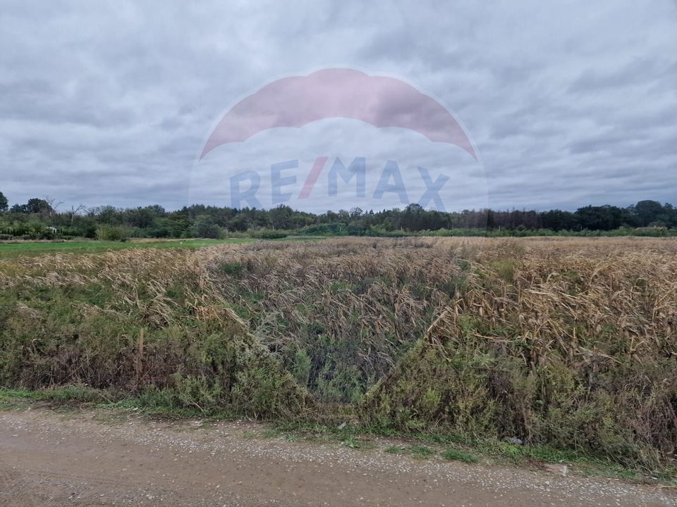 Land 3,555sqm Hemeius / Strada Gradinarilor