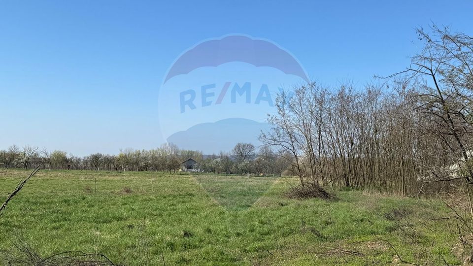 Land 1,800sqm Merisor / Strada Strada 135
