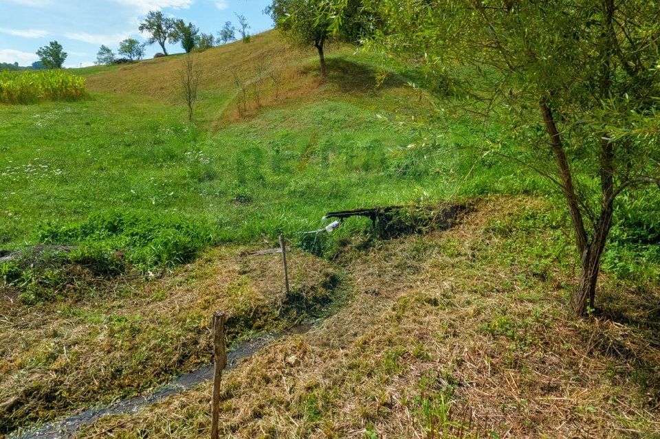 Casa veche cu teren ,Varmaga jud Hunedoara