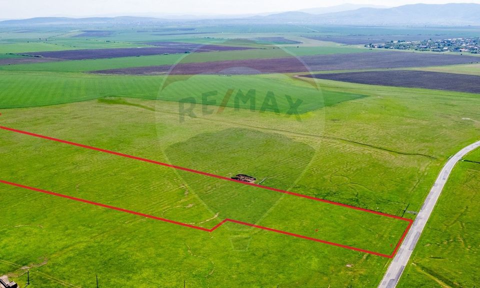 Land 50,000sqm Santana / Soseaua EXTRAVILAN