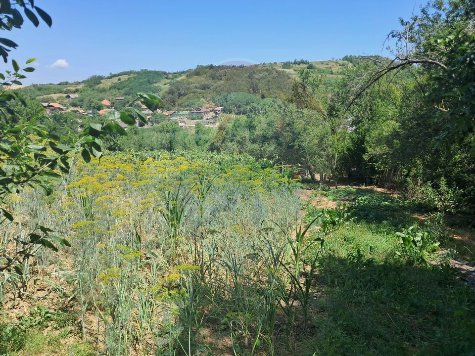 Casă / Vilă cu 4 camere de vânzare in Fratostita Dolj