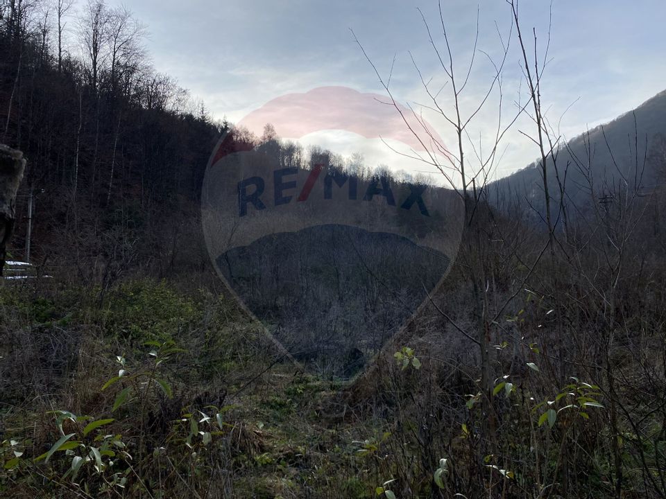 Land 1,000sqm Valea Ierii / Drumul Principala