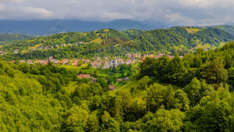 COMISION 0% Teren 11,381 mp Moieciu de Jos / Oportunitate unică