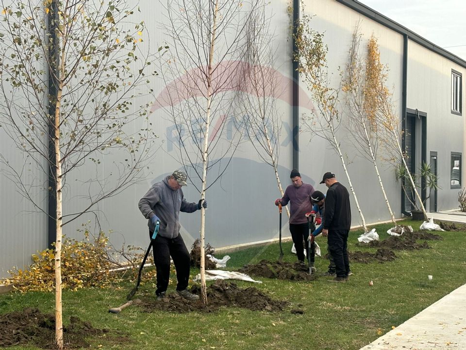 Spatiu industrial Hale, depozit logistic, Birouri premium - Targoviste