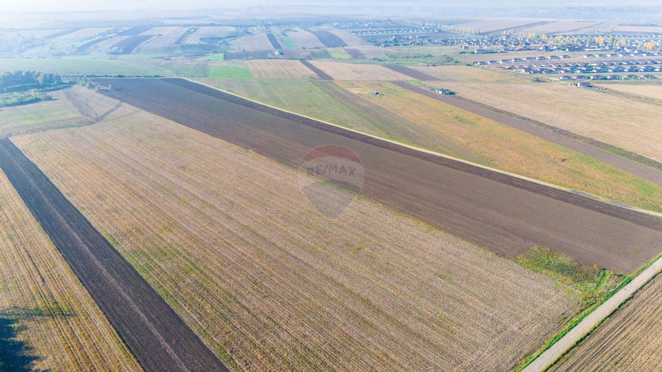 Teren 15,000mp Vorovesti / Strada Militari