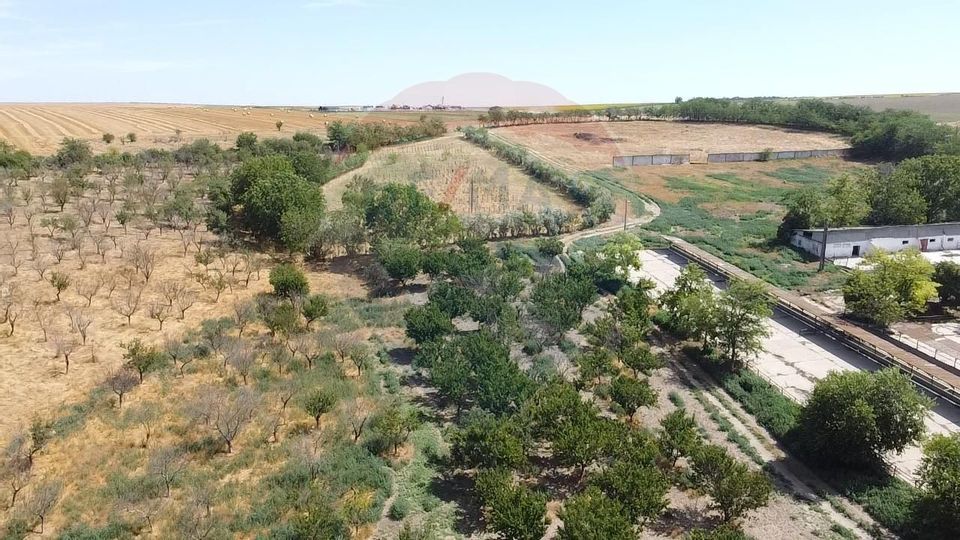 Teren si Ferma de vanzare in loc. Cobadin