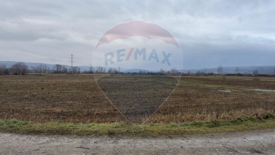 Land 3,600sqm Sacalaseni / Strada Râului