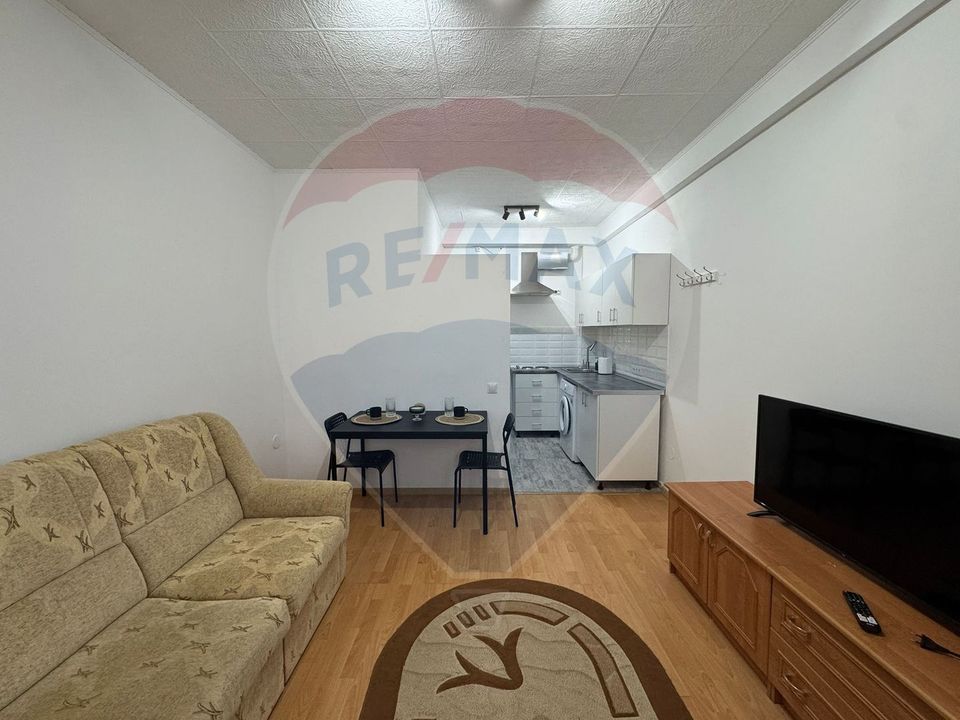 1 room Apartment for rent