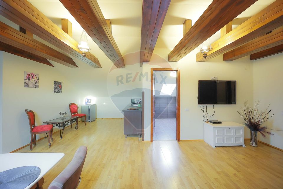 10 room Hotel / Pension for sale, Nufarul area