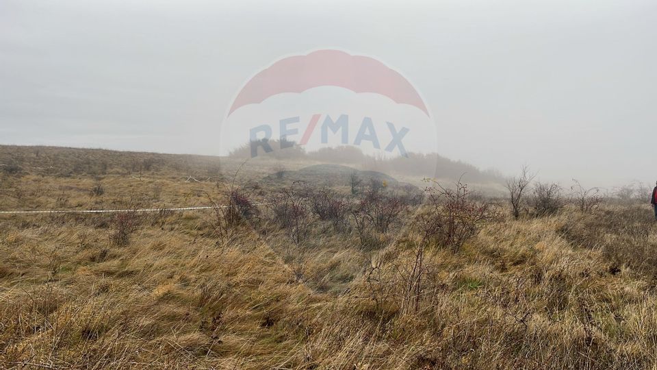 Land 623sqm Padureni (Chinteni) / Strada Principala