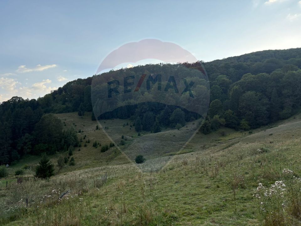 TEREN EXCLUSIV PENTRU INVESTIȚIE ÎN ZONĂ DE AGREMENT – BRAȘOV, DN 1E