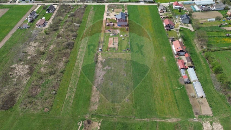 Teren de vânzare intravilan Cătălina