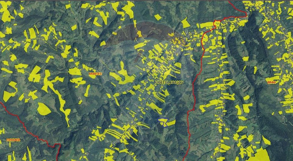 Teren extravilan Moieciu 45316mp