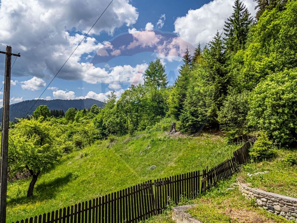 Vila / Pensiune cu 20 camere de vânzare în Câmpulung Moldovenesc, SV