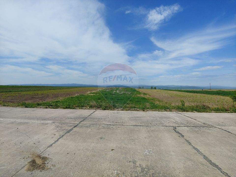Land 9,600sqm Suceava / Nord-Est