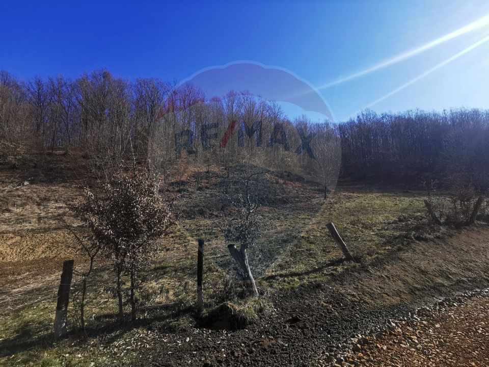 Teren pentru cabană lângă pădure