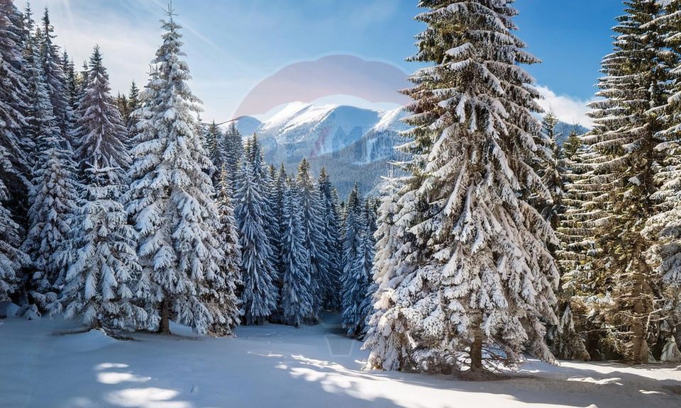 Land with Building Permit for Holiday Apartments, Poiana Brasov