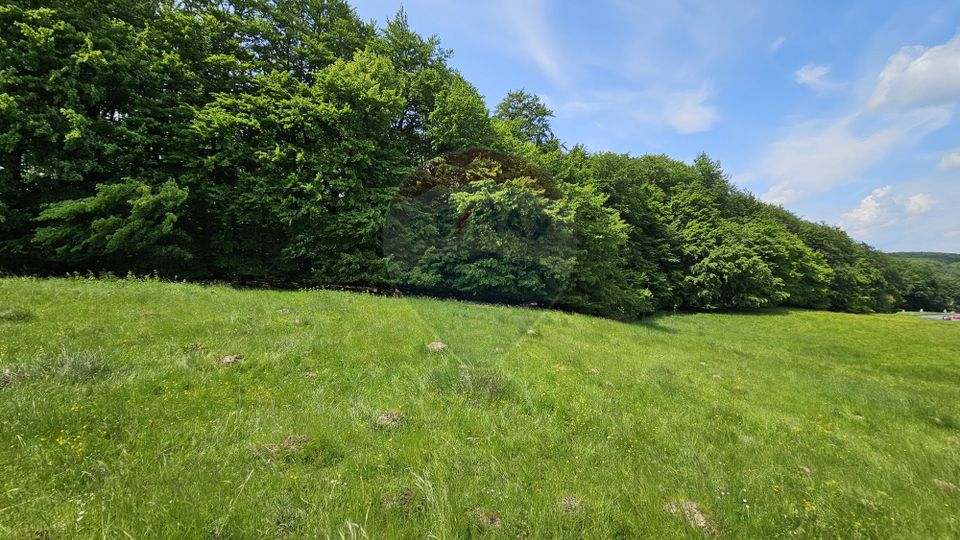 Teren Ilisesti  7000mp extravilan/ DN 17, Suceava