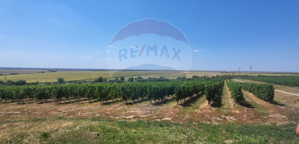 Land 50,500sqm Siria / DJ 709