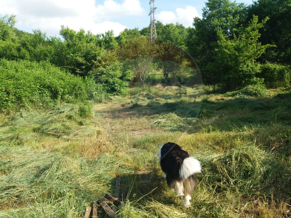 Casă / Vilă, În localitatea Chelmac, de vânzare.