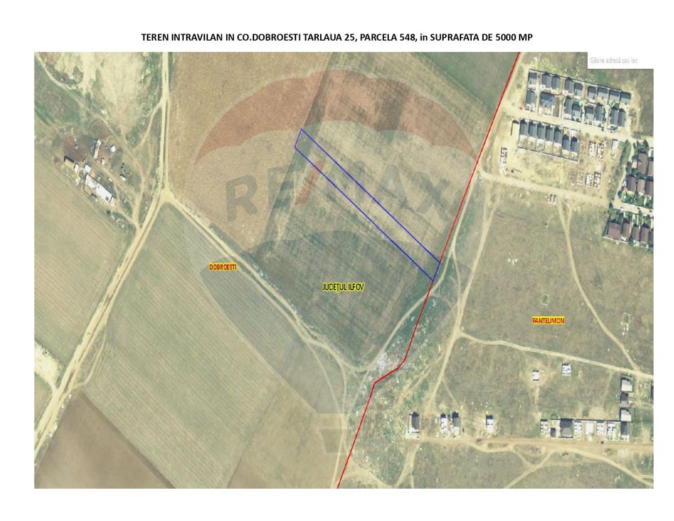 Teren 5,000mp Dobroesti / None