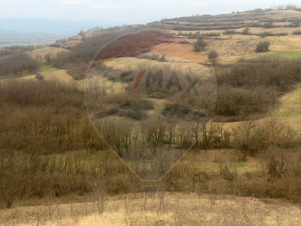 Land 18,800sqm Criseni / Strada principala