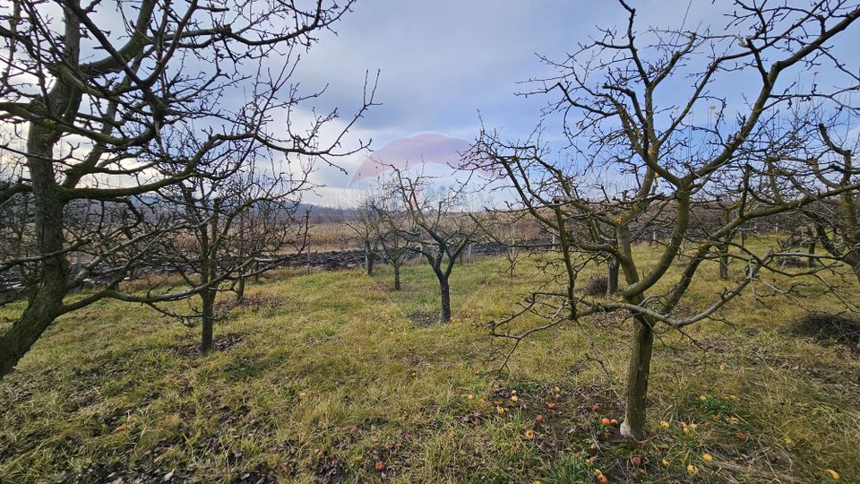 Teren extravilan 10,791mp Falticeni / Strada DJ209A, Opriseni