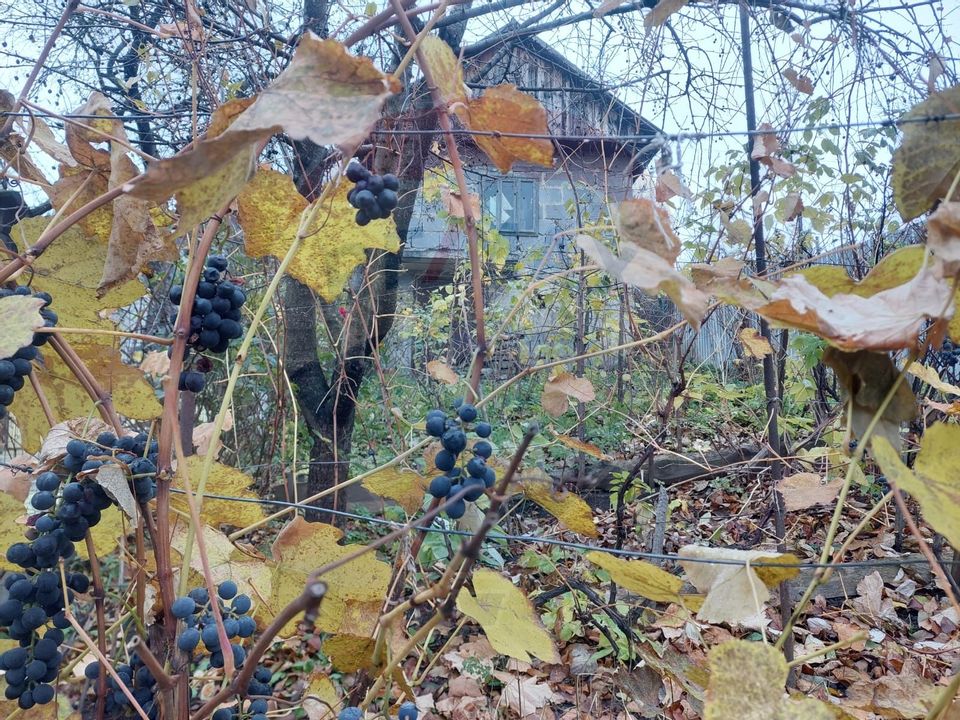 Casa de vanzare in Moinesti, jud. Bacau