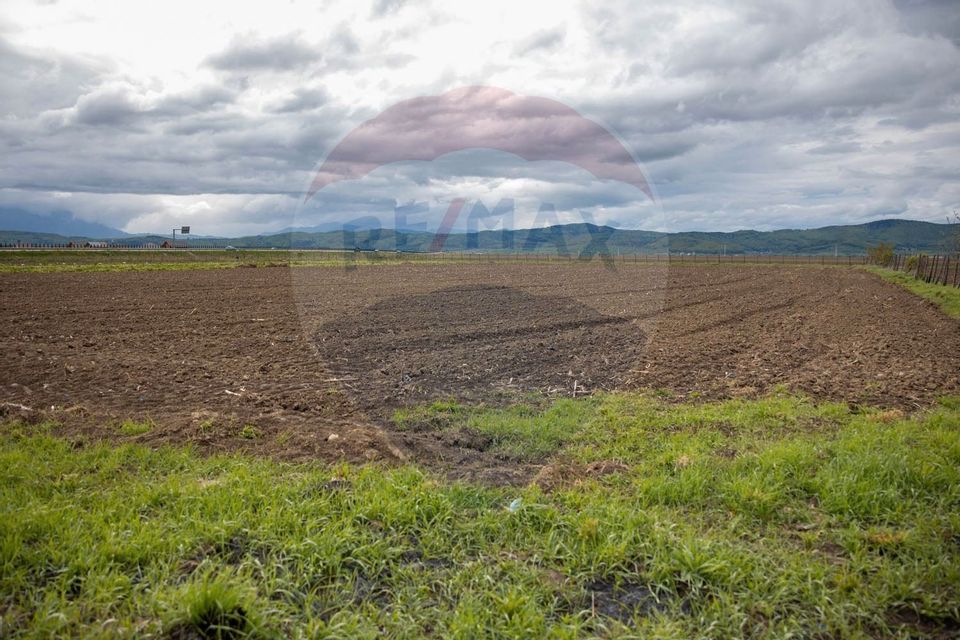 Land 20,000sqm Cristian / Strada Ghimbavului