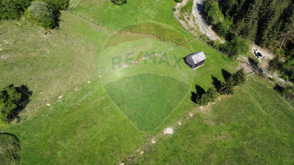 Land 12,127sqm Frasin / Drumul Forestier Valea Seacă